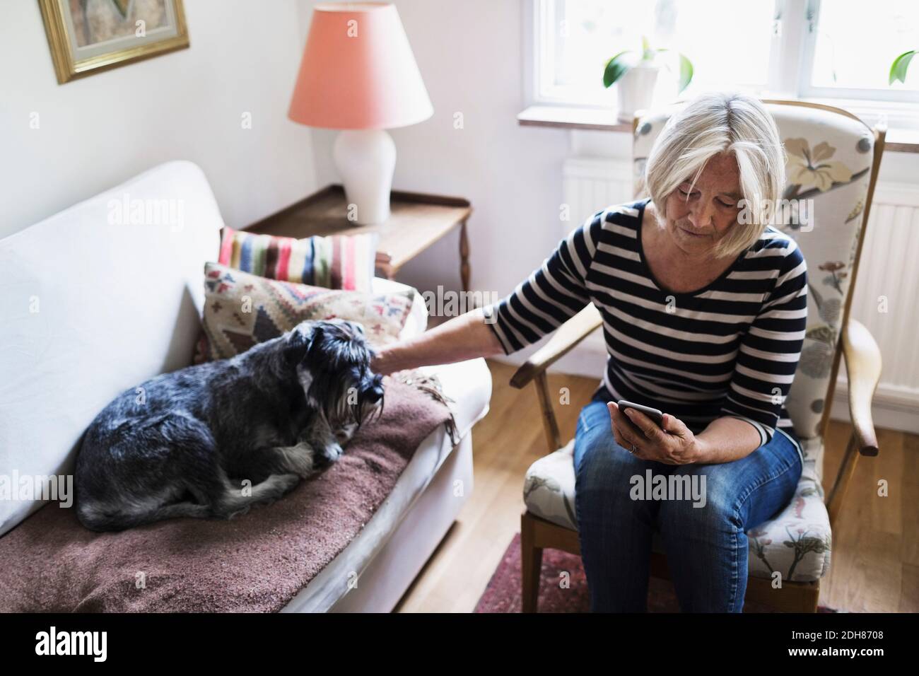 Ältere Frau mit Smartphone, während streicheln Hund entspannen auf Sofa zu Hause Stockfoto