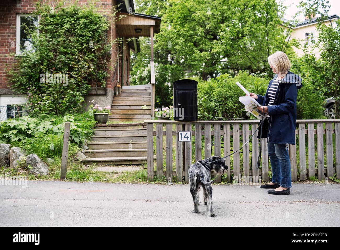 Ältere Frau, die Briefe überprüft, während sie mit Hund vor dem Haus steht Stockfoto