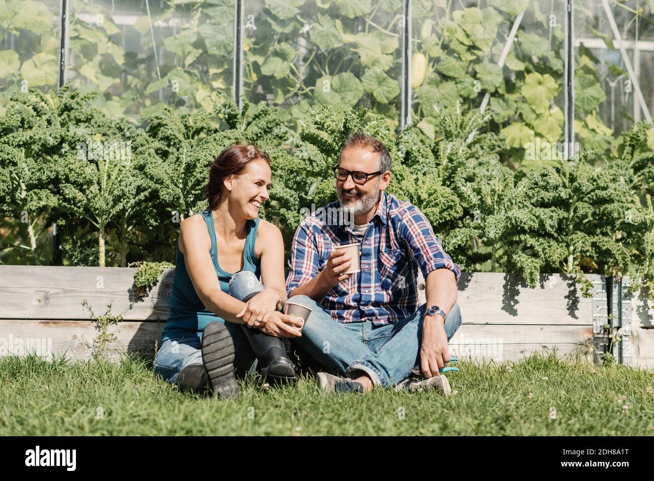 Glückliche Bauern genießen Kaffeepause, während sie auf Gras sitzen Gewächshaus Stockfoto