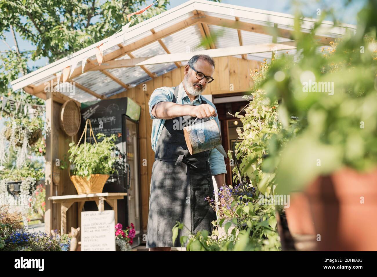 Reifer Ladenbesitzer Bewässerung Pflanzen im Garten gegen Shop Stockfoto