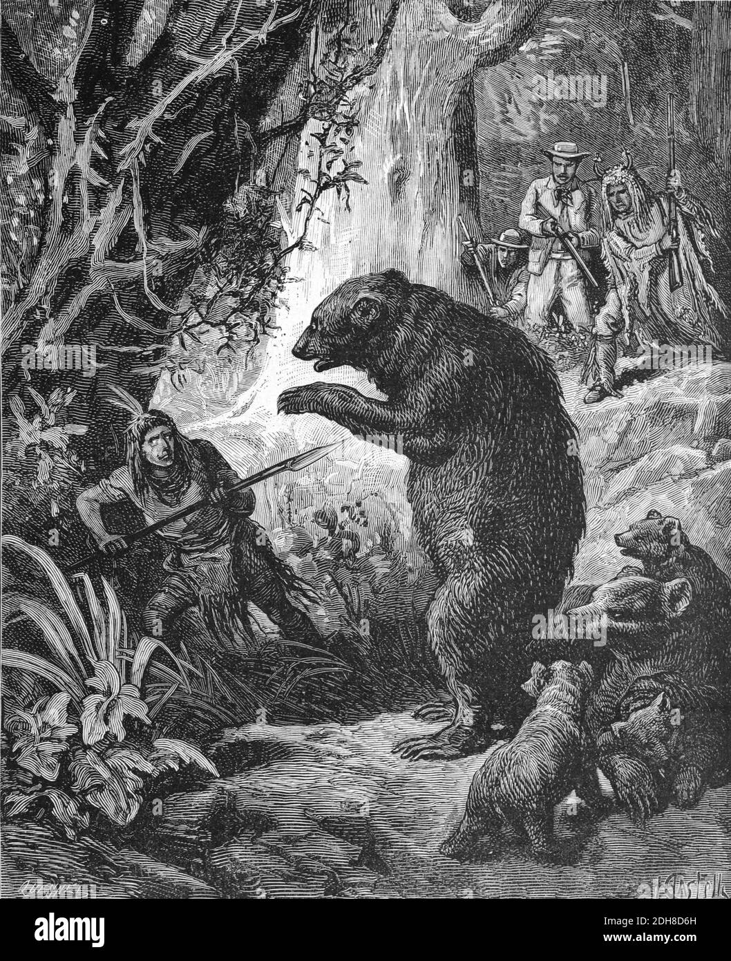 Familie der Grizzly Bears (Ursus arctos) Erwachsene & Cubs