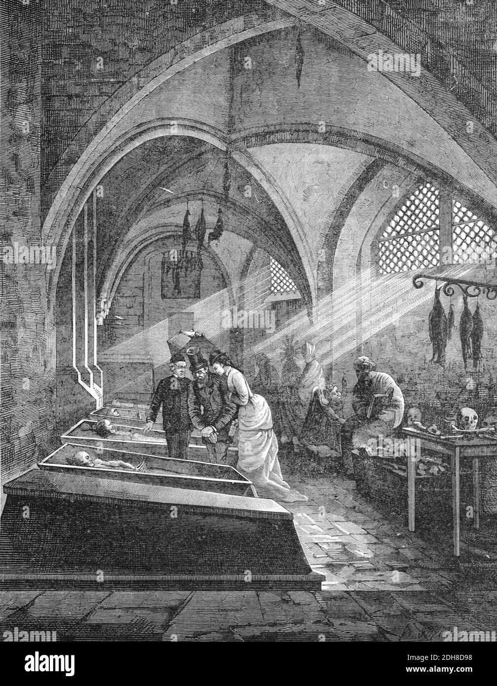 Mumien im Keller oder Krypta des Bremer Doms Deutschland (Engr 1880) Vintage Illustration oder Gravur Stockfoto
