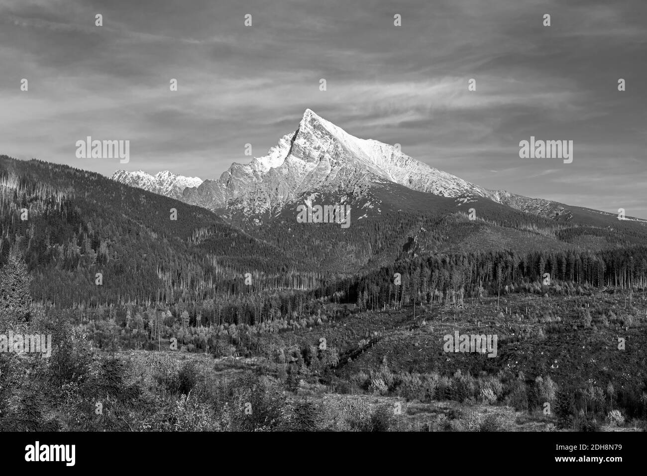 Nationalpark hohe Tatra in der Slowakei Europa Berge hohe Tatra (Belianske Tatra) Berge Nationalpark in der Slowakei Vysoke Tatry Stockfoto