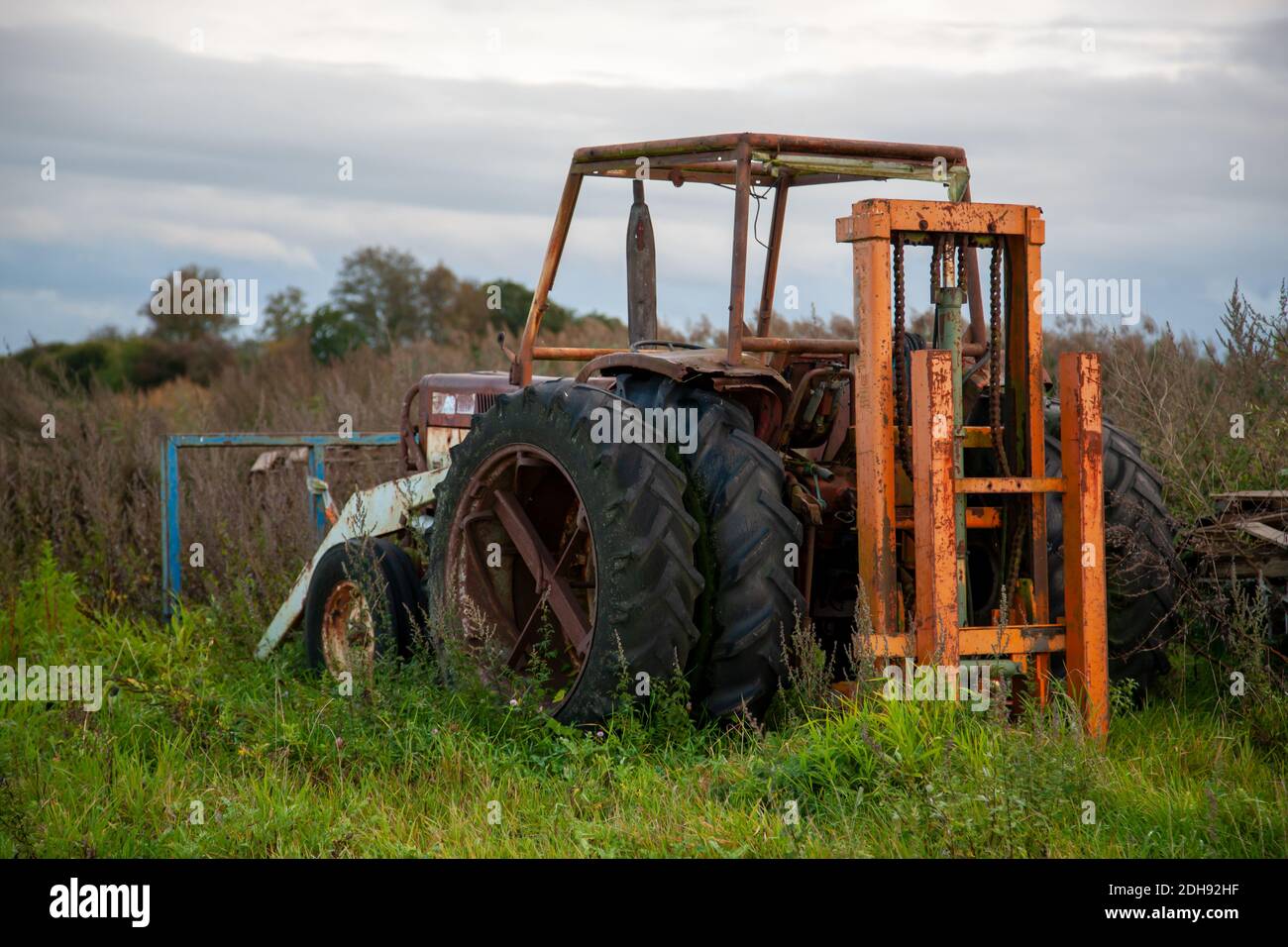 Traktor in Holland Stockfoto