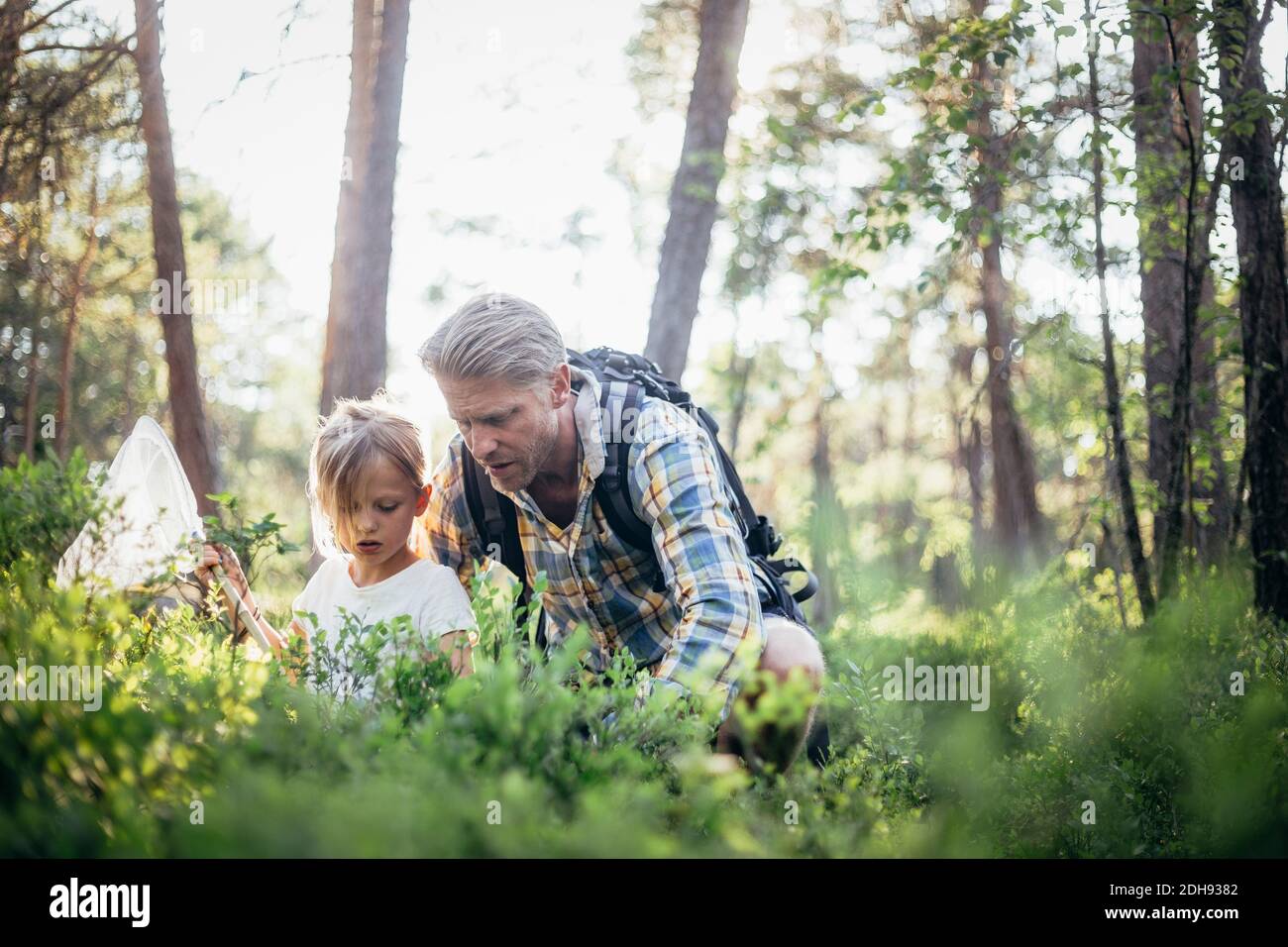 Vater und Tochter sammeln Müll im Wald Stockfoto