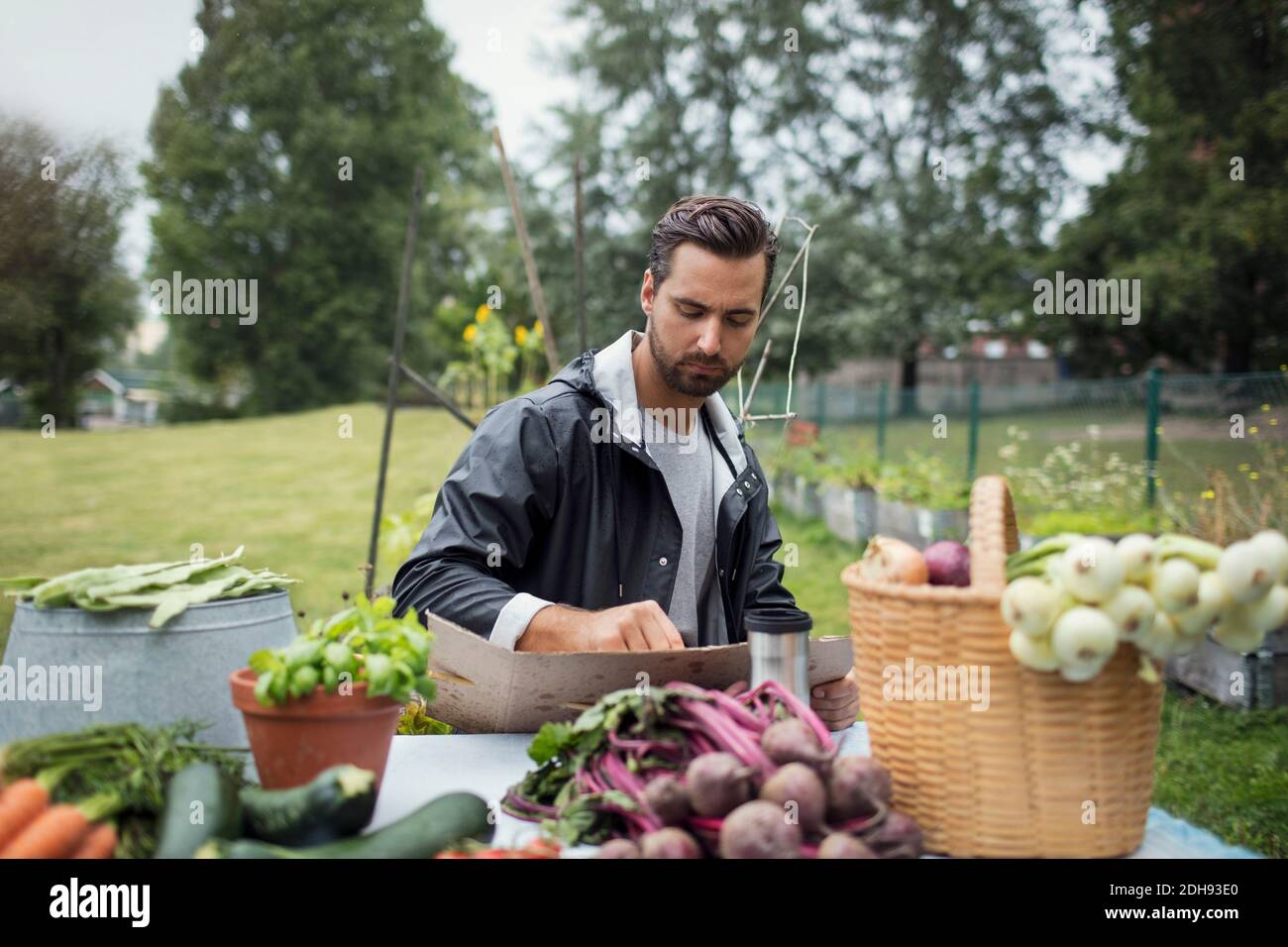 Mittelerwachsener Mann, der auf Pappe schreibt, während er frisch zugeht Geerntetes Gemüse im städtischen Garten Stockfoto Mittelerwachsener Mann, der auf Pappe schreibt, während er frisch zugeht Geerntetes Gemüse im städtischen Garten Stockfoto