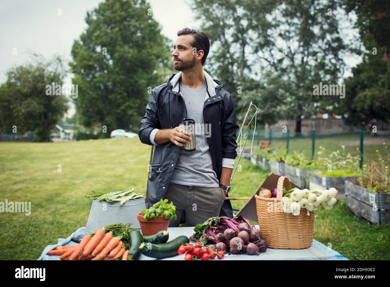 Mittelerwachsener Mann, der Kaffee im Stehen frisch geerntet hat Gemüse auf dem Tisch im Stadtgarten Stockfoto Mittelerwachsener Mann, der Kaffee im Stehen frisch geerntet hat Gemüse auf dem Tisch im Stadtgarten Stockfoto