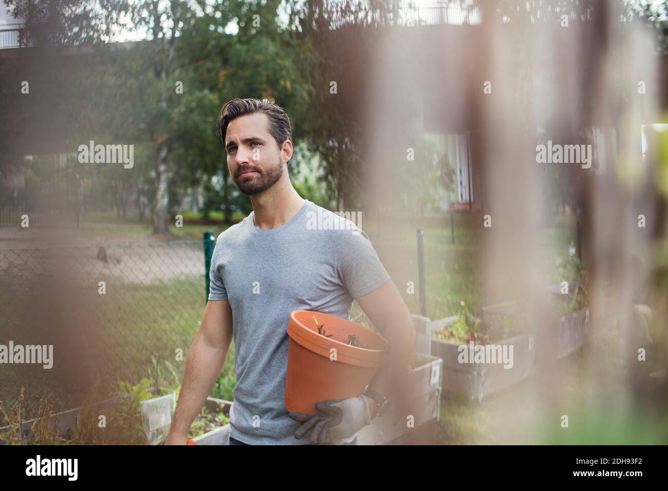 Mittlerer Erwachsener Mann hält Blumentopf während der Arbeit in der Stadt Garten Stockfoto Mittlerer Erwachsener Mann hält Blumentopf während der Arbeit in der Stadt Garten Stockfoto