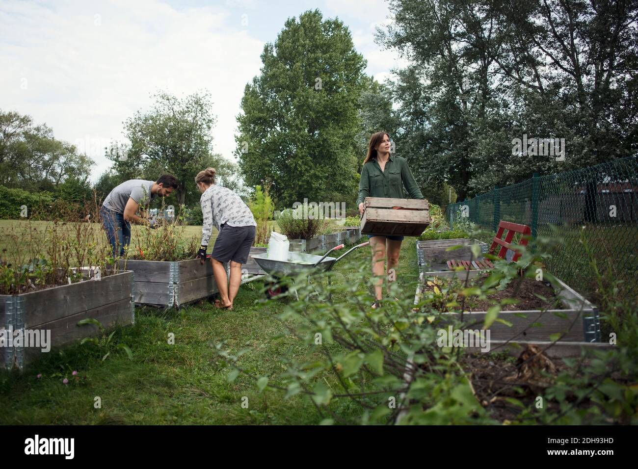 Menschen, die im Gemeinschaftsgarten arbeiten Stockfoto