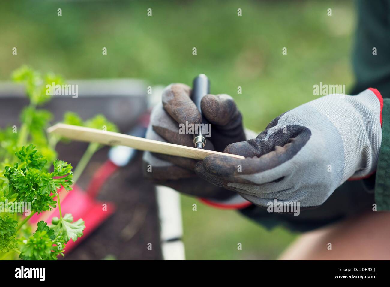 Zugeschnittenes Bild von Frau Schreiben Etikett für Pflanze in der Stadt Garten Stockfoto