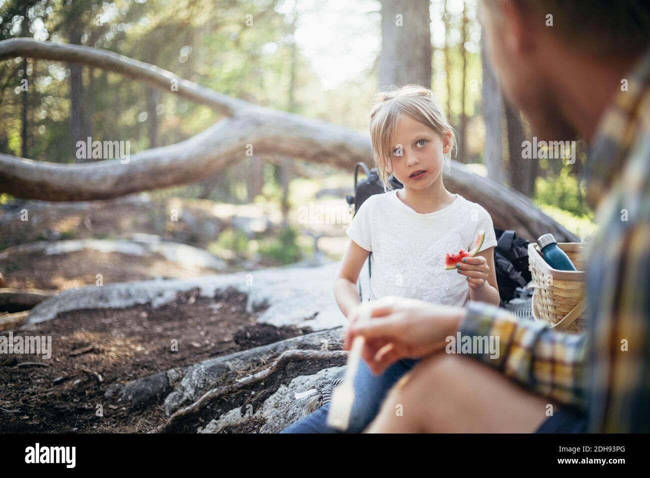 Tochter, die Wassermelone isst, während sie Vater im Wald ansieht Stockfoto