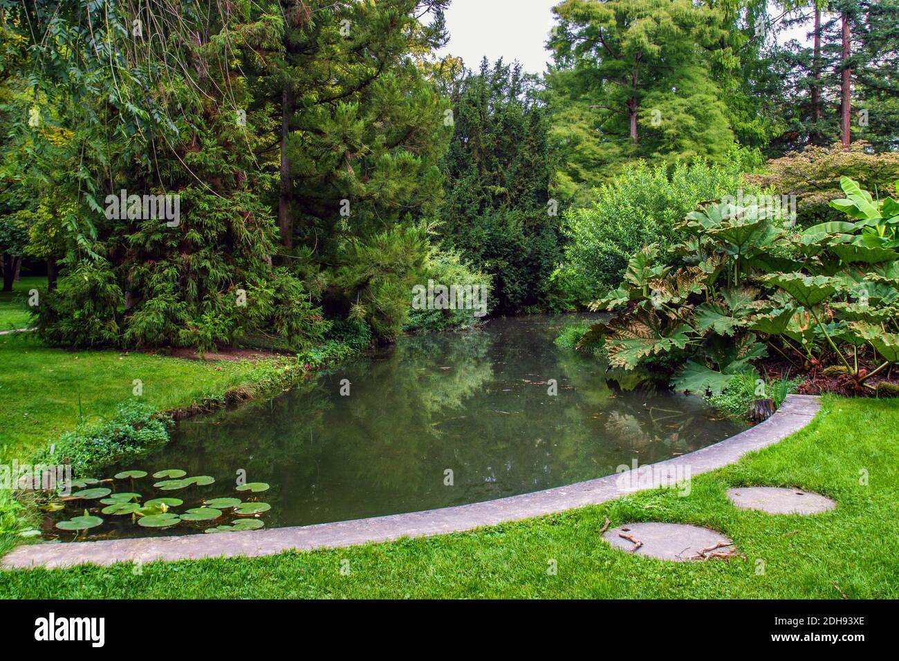 Siehe im Park von Hohenheim, Stuttgart Stockfoto