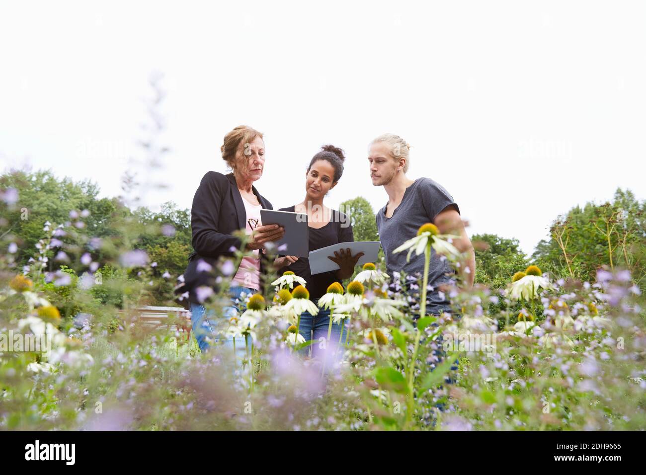 Gartenarchitekten, die im Hof stehen, mit einem digitalen Tablet Stockfoto