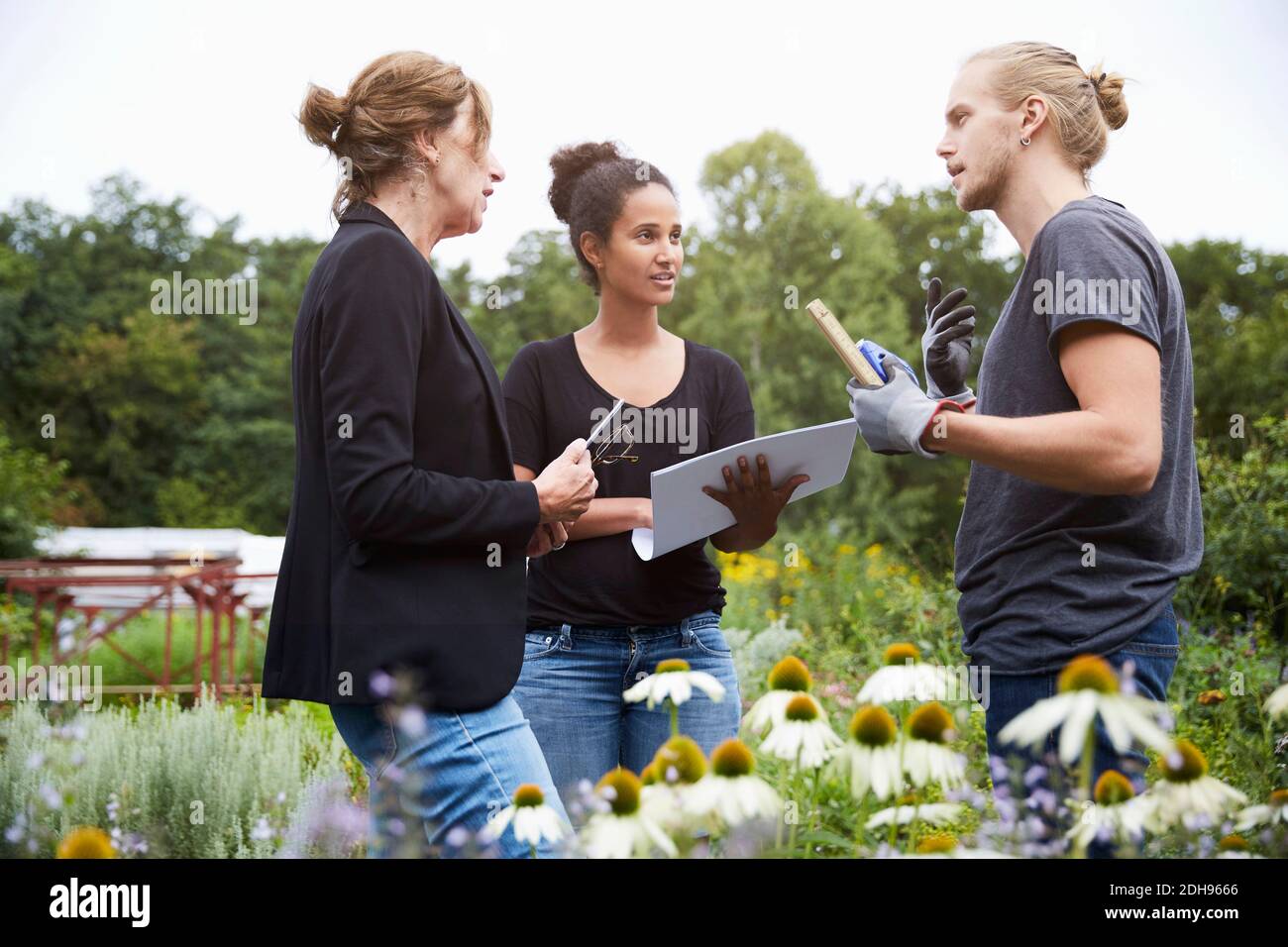 Architekten kommunizieren inmitten von Pflanzen im Garten Stockfoto