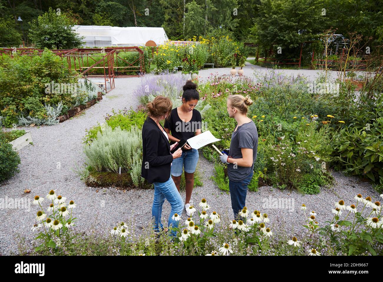 High-Angle-Ansicht der Architekten, die im Gemeinschaftsgarten kommunizieren Stockfoto