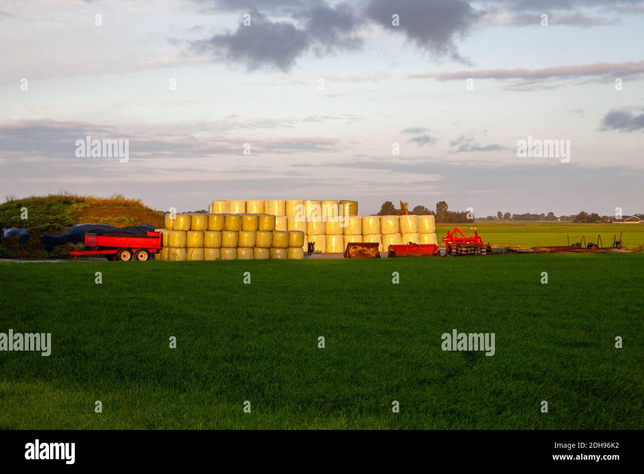 Heuballen in den Niederlanden Stockfoto