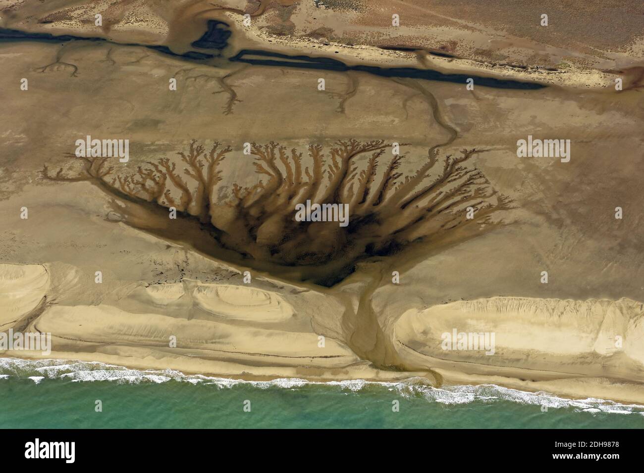 Leucate (Südfrankreich): Luftaufnahme der 'Blume' von La Franqui, erstaunliches Phänomen, das auf dem Sand durch Wasserabfluss geschaffen wurde. Stockfoto