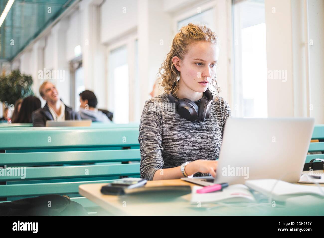 Ernsthafte Studentin mit Laptop in der Cafeteria Stockfoto