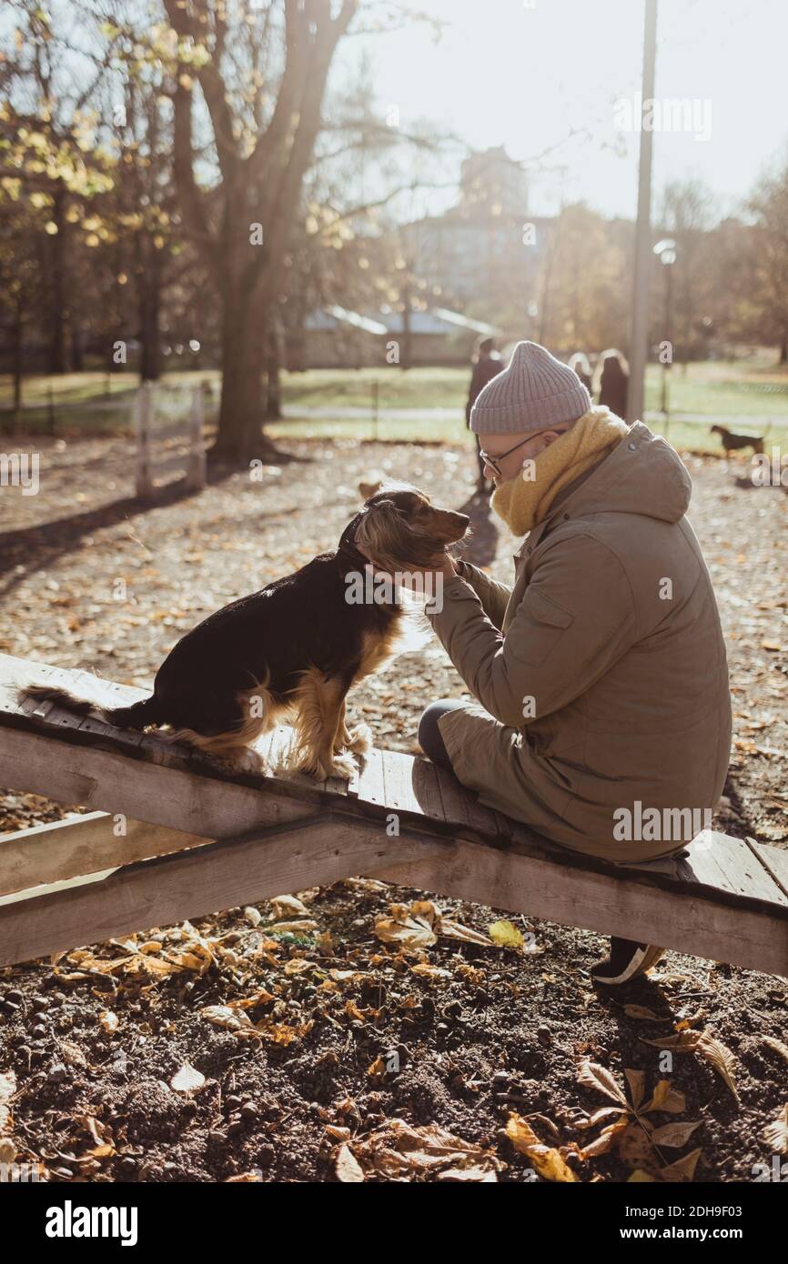 Seitenansicht des Mannes, der beim Sitzen mit dem Hund verbunden ist parken Sie im Herbst Stockfoto