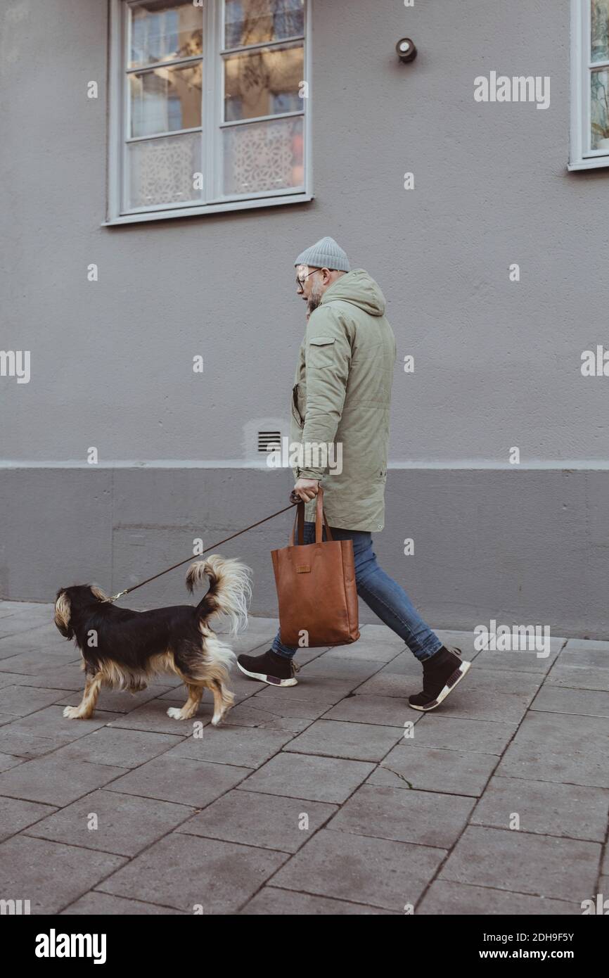 Volle Seitenansicht des Mannes, der mit Hund läuft Fußweg in der Stadt Stockfoto