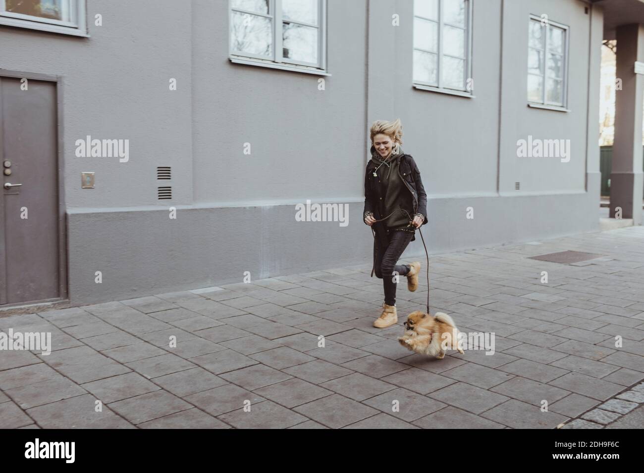 Volle Länge der glücklichen Frau läuft mit ihrem pommerschen Hund Auf Fußweg durch Gebäude in der Stadt Stockfoto