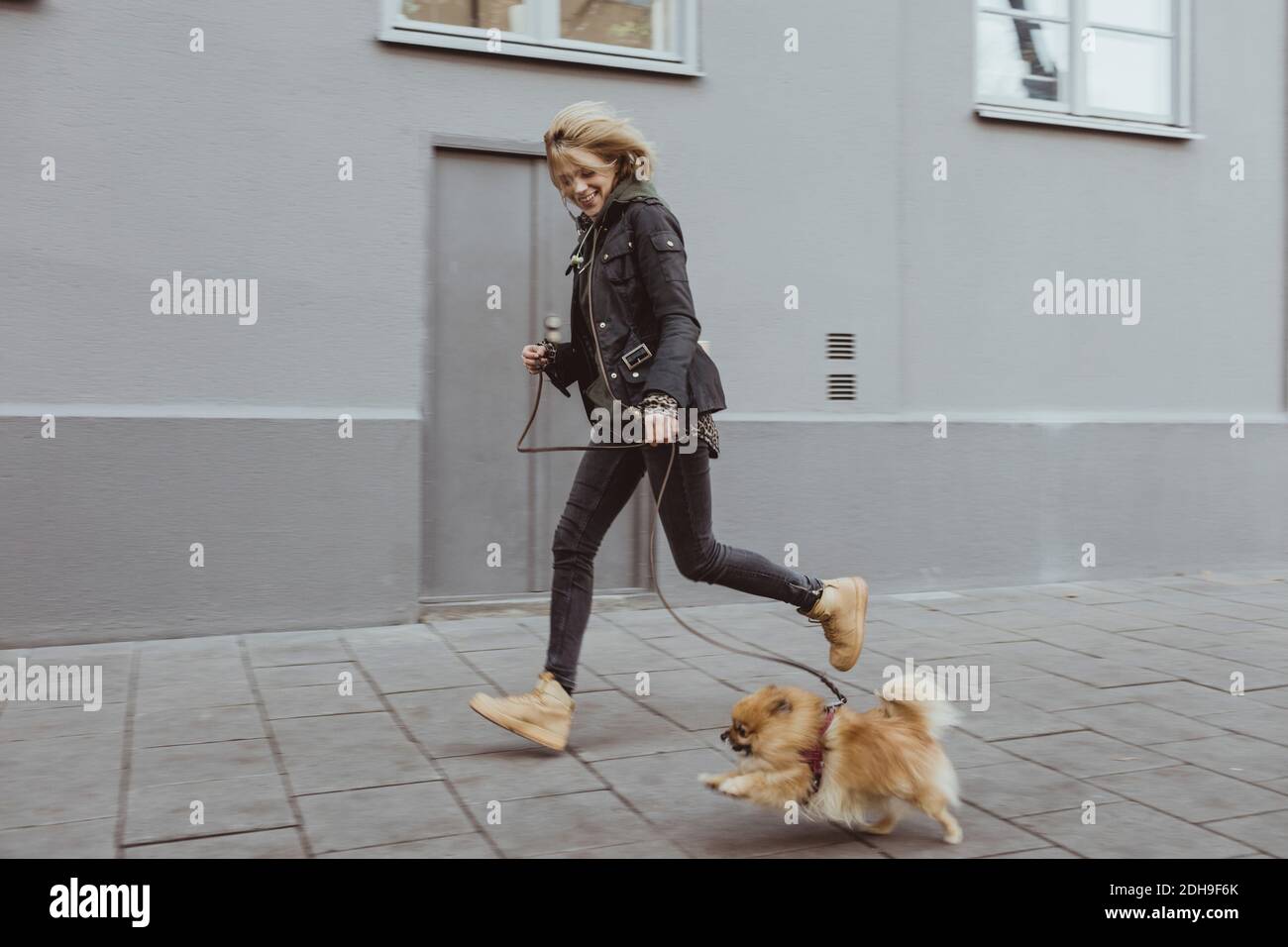 Volle Länge Seitenansicht der glücklichen Frau läuft mit ihr Pommerschen Hund auf Fußweg durch Gebäude in der Stadt Stockfoto