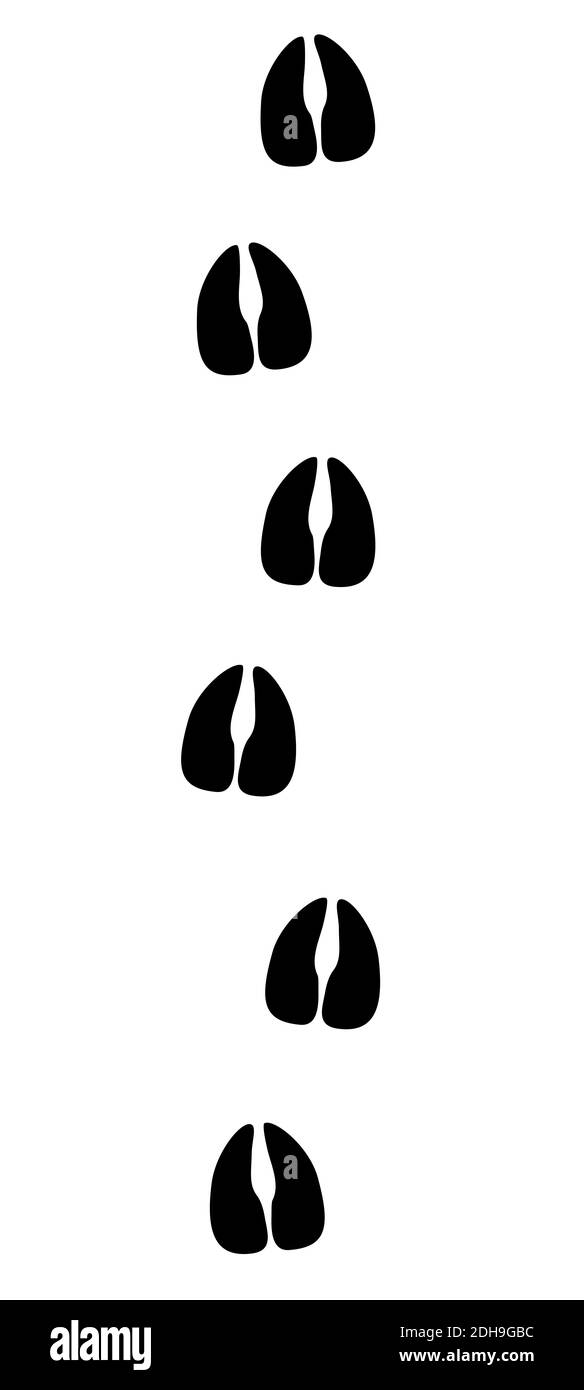 Kuhspuren. Fußabdrücke von Rindern - schwarze Symbolillustration auf weißem Hintergrund. Stockfoto