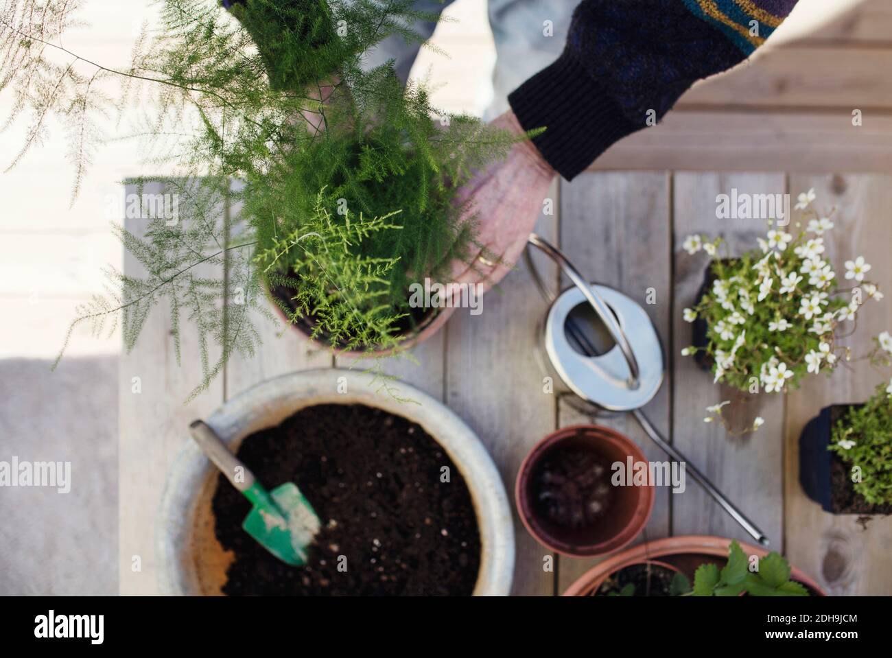 Zugeschnittenes Bild von Senior man Gartenarbeit am Tisch im Hof Stockfoto