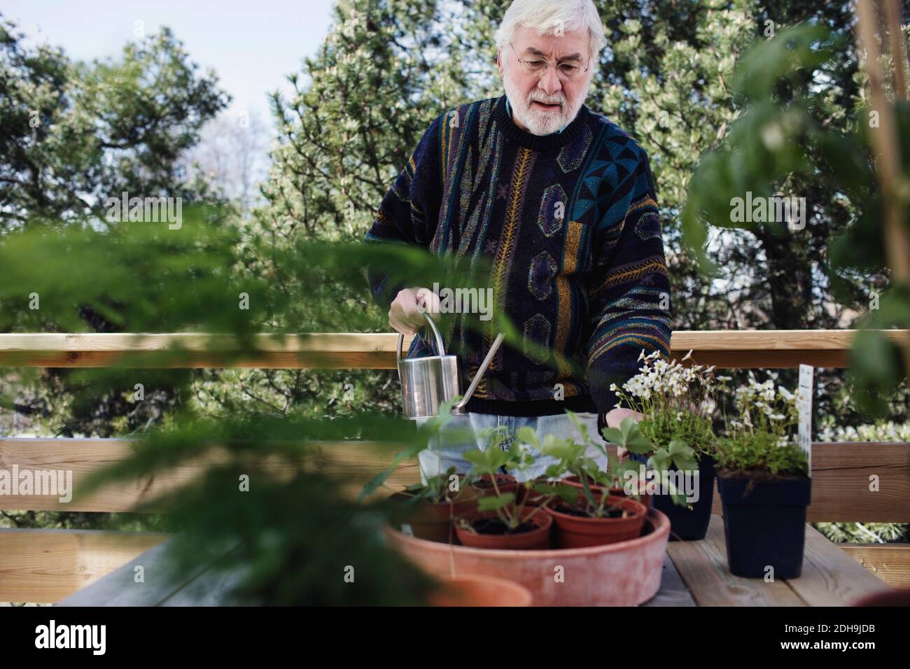 Senior Mann Gießkanne Pflanzen am Tisch im Hof Stockfoto