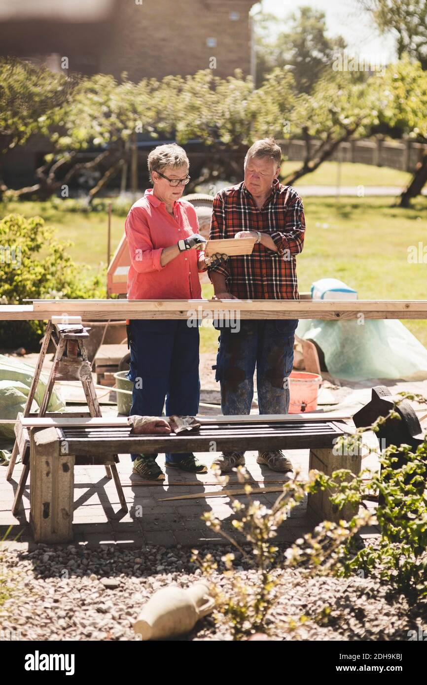 Seniorenpaar untersucht Holzplanke auf Hof während sonnigen Tag Stockfoto