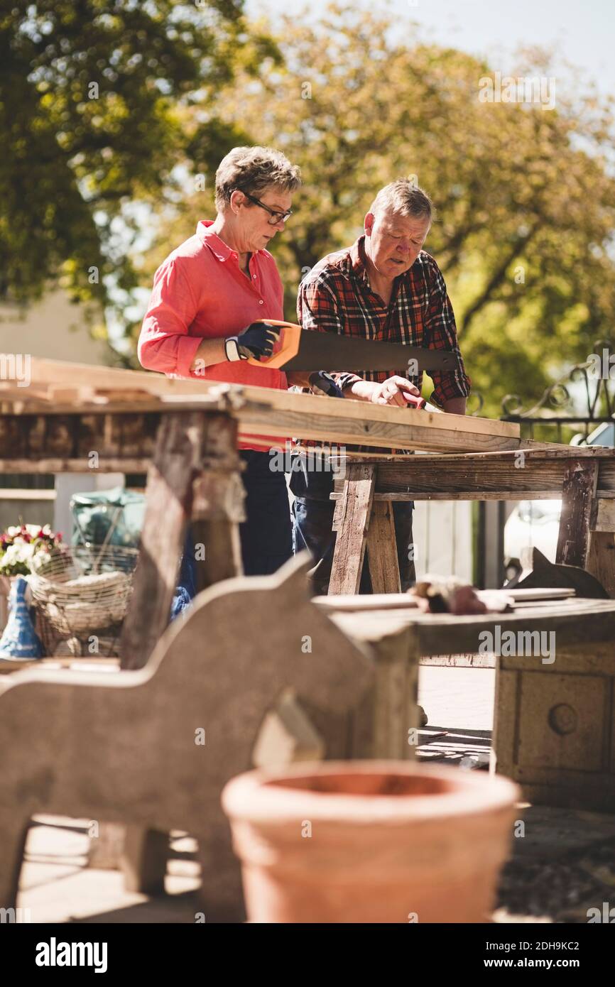 Ältere Frau schneidet Holzbrett mit Säge während der Arbeit mit Mann im Hof Stockfoto