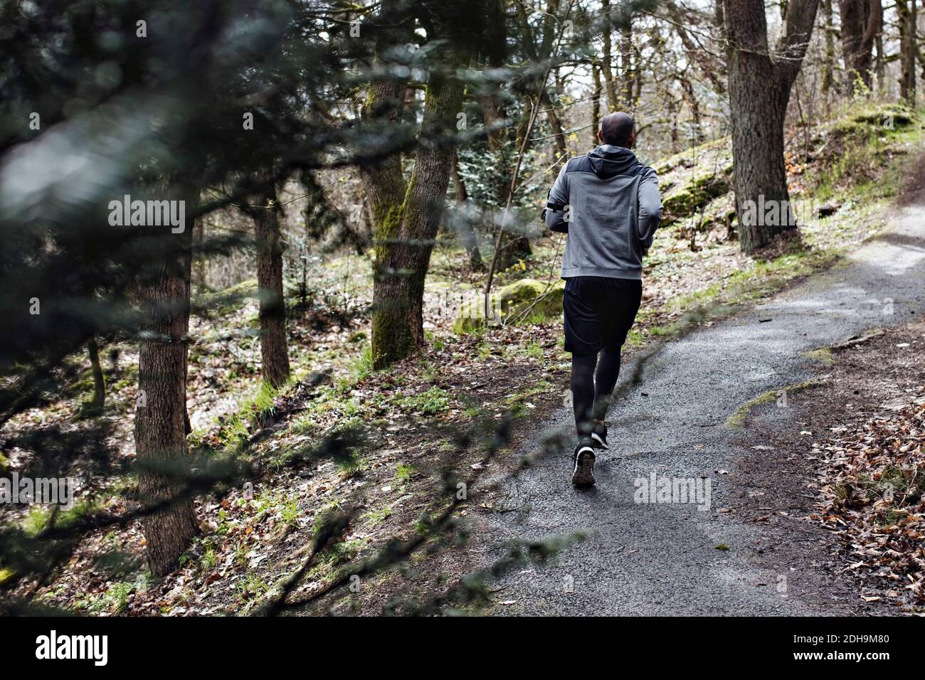 Lange Rückansicht des männlichen Athleten beim Joggen auf schmal Straße im Wald Stockfoto