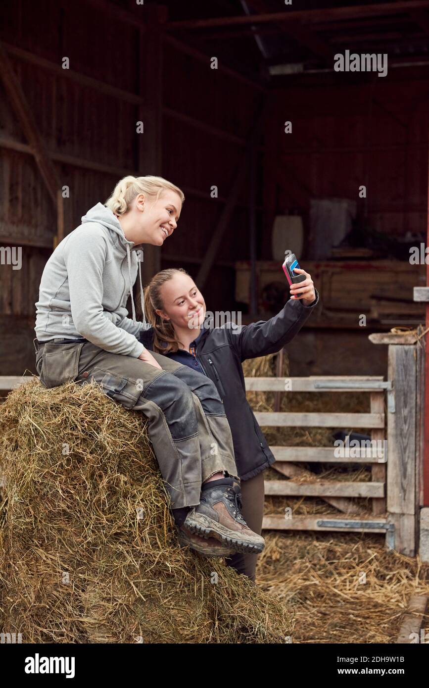 Junge Frau, die Selfie mit Schwester auf Heuballen sitzt Stockfoto