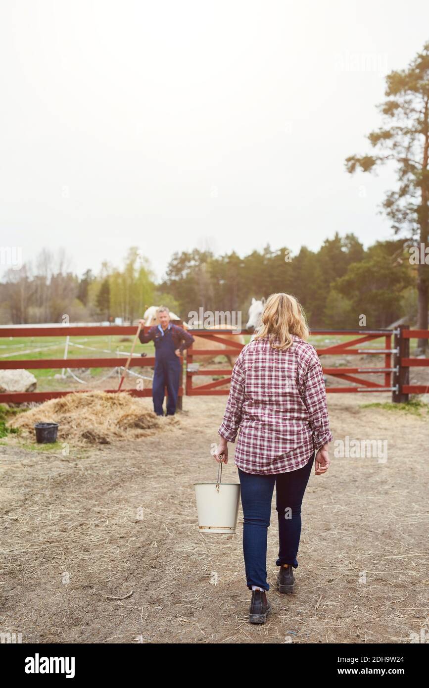 Rückansicht der Bäuerin, die Eimer auf dem Bauernhof trägt Stockfoto