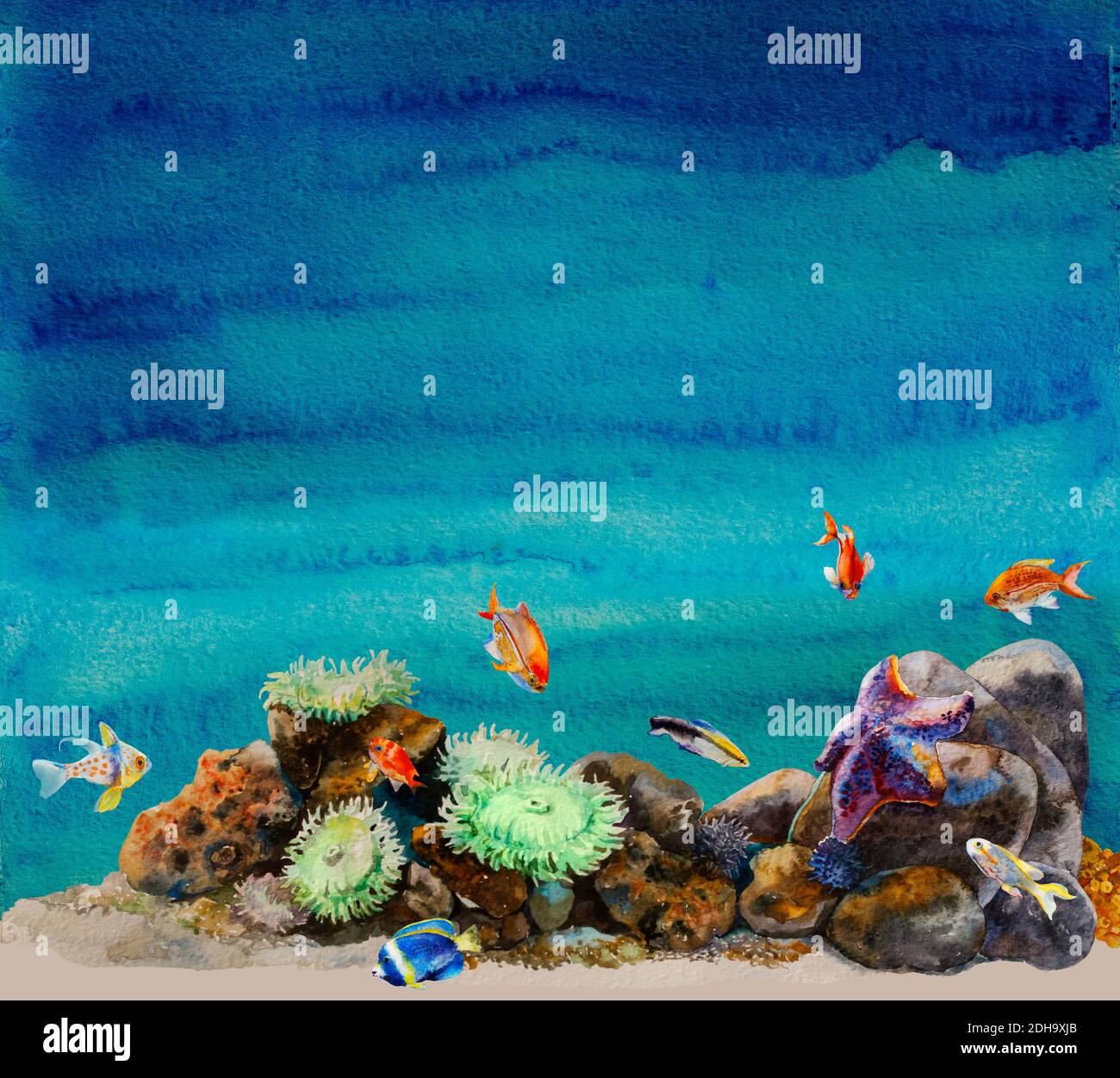Aquarell Meeresboden mit Anemonen, Seeigel, verschiedene tropische Fische und Seestern in einem Riff bunte Unterwasserlandschaft Hintergrund. Originalillust Stockfoto