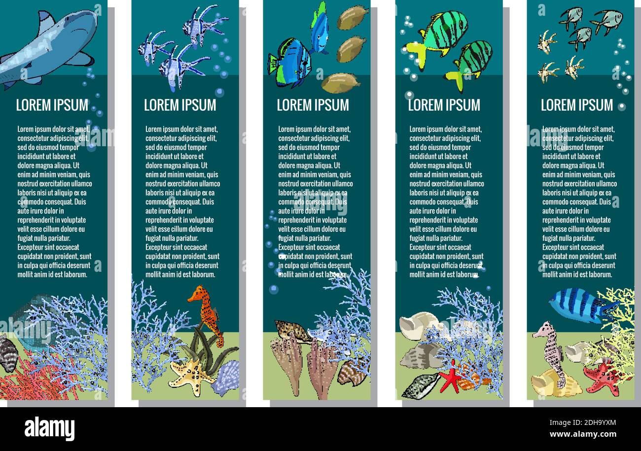 Vektor-Set von vertikalen Bannern. Unterwasserwesen im Ozean. Meerestiere - Haie, tropische Fische, Korallen, Seepferdchen, Muscheln, Seesterne, Stachelrochen, Alge Stock Vektor