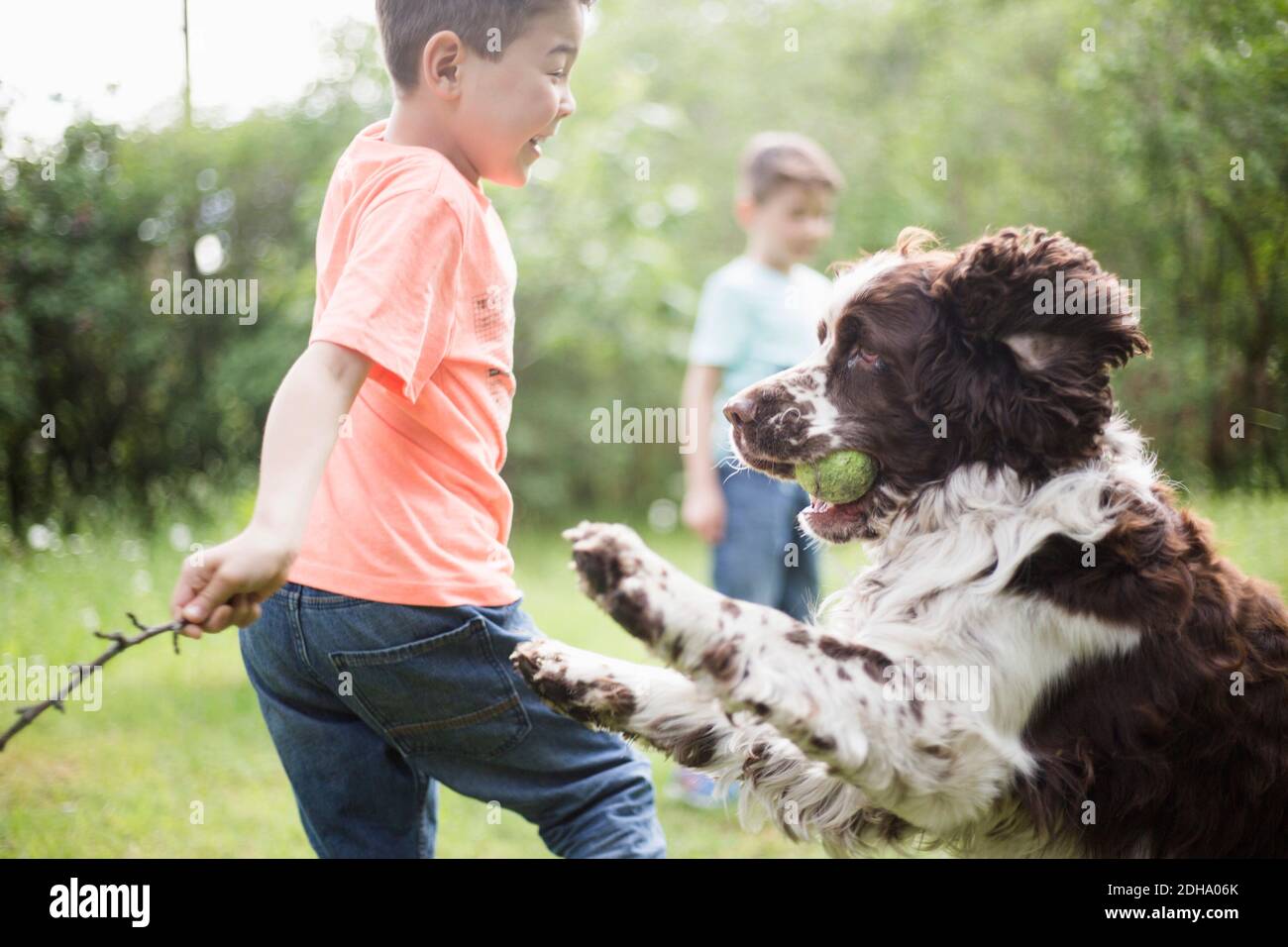 Junge und Hund spielen mit Bruder im Hinterhof stehen Stockfoto