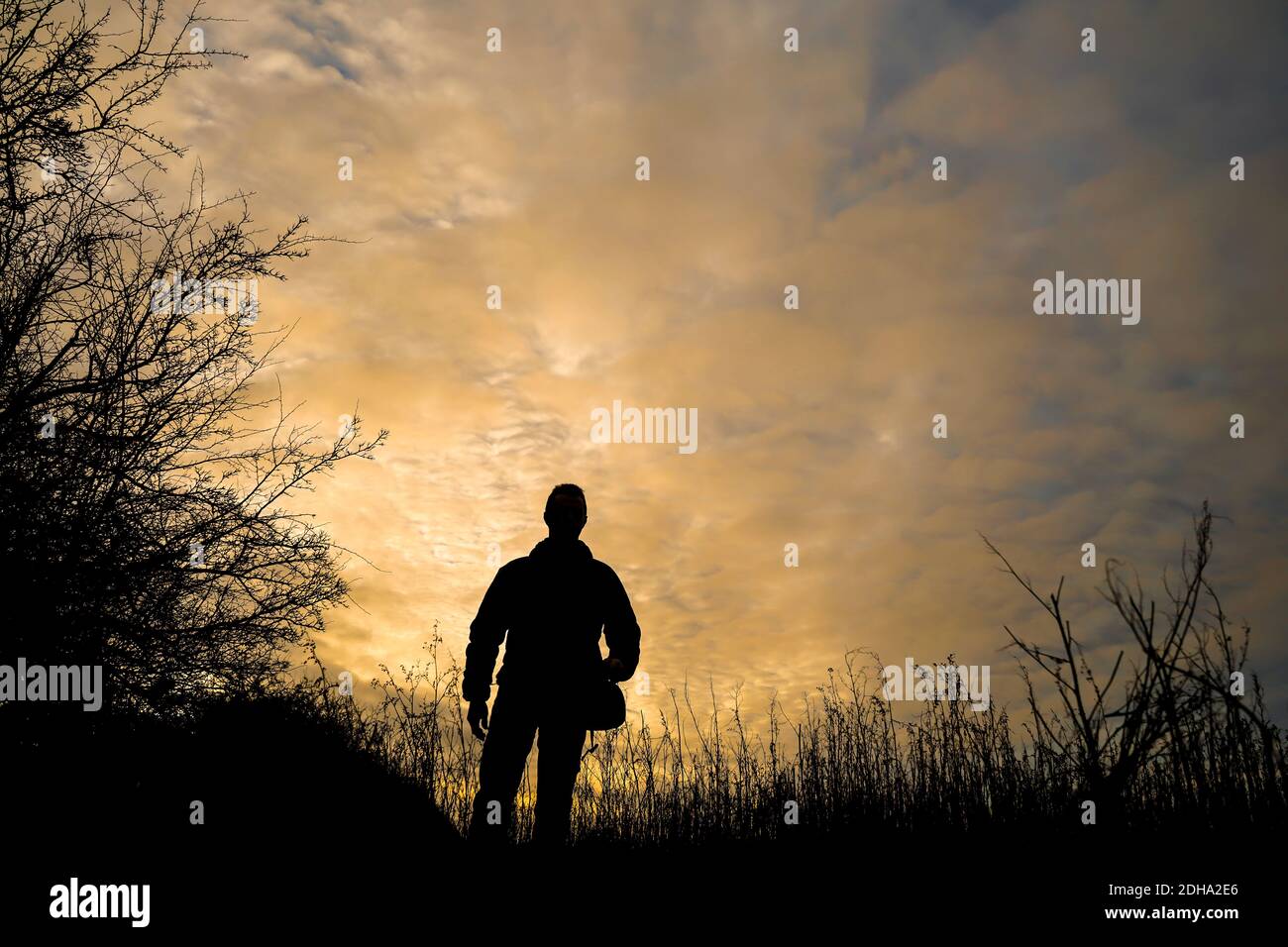 Vorderseite Silhouette Ansicht eines Mannes zu Fuß durch ein Land Feld bei Sonnenaufgang in Großbritannien. Stockfoto