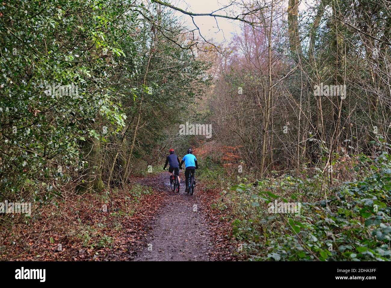 Zwei Radfahrer auf einer Landspur auf den North Downs In den Surrey Hills England Stockfoto