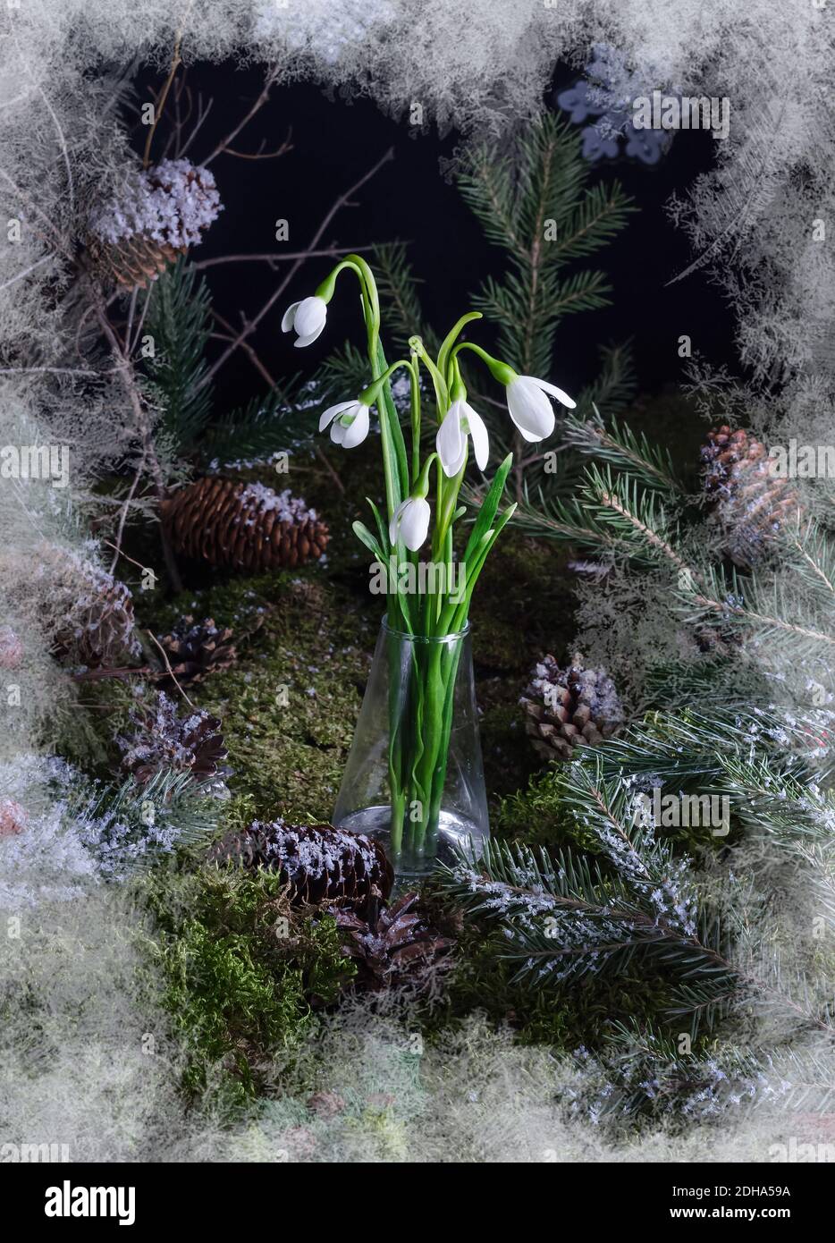Weihnachten Heimtextilien - Komposition von Schneeglöckchen auf einem natürlichen Moos Hintergrund, Heimtextilien Idee Stockfoto