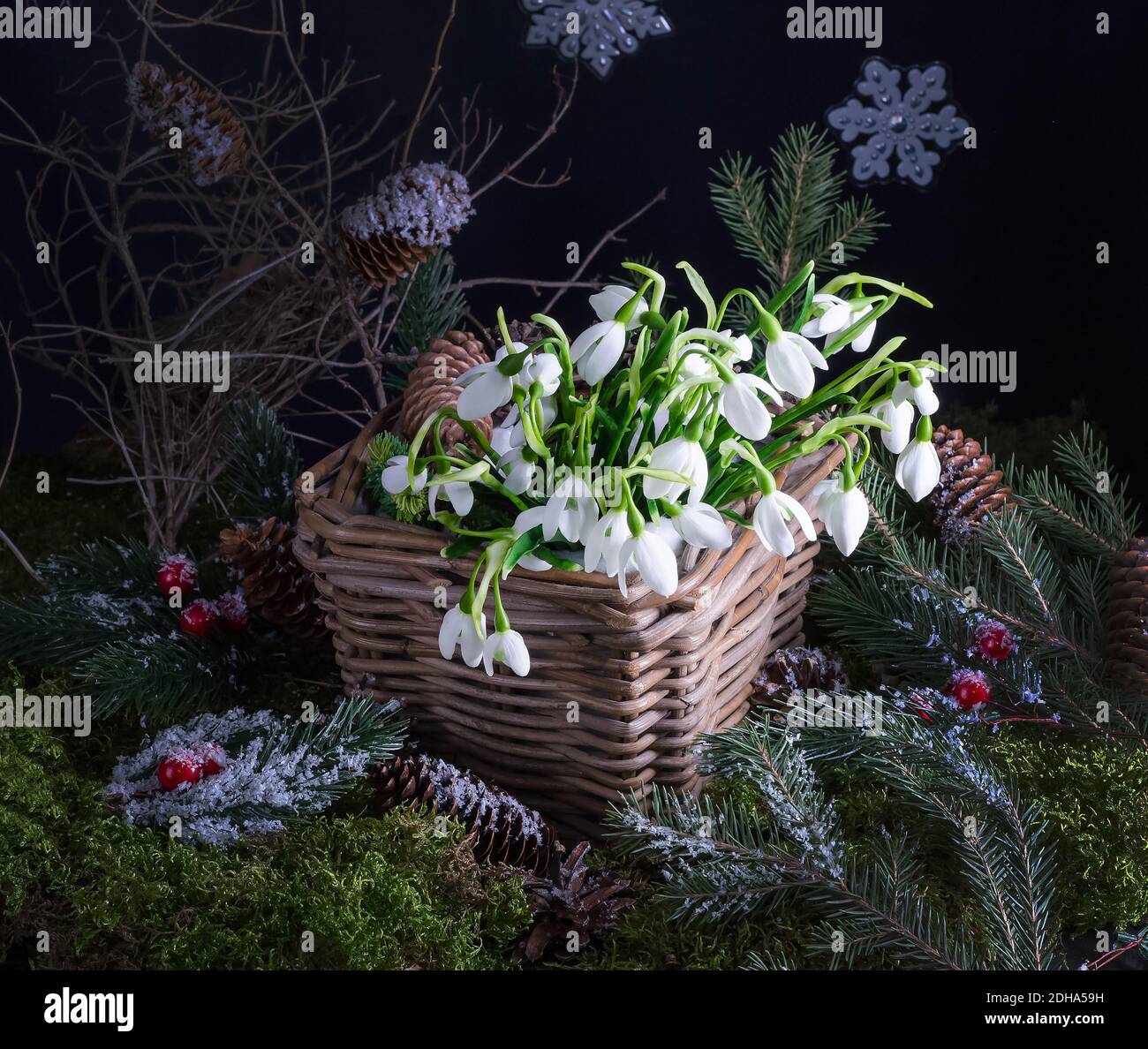 Weihnachten Heimtextilien - Komposition von Schneeglöckchen auf einem natürlichen Moos Hintergrund, Heimtextilien Idee Stockfoto