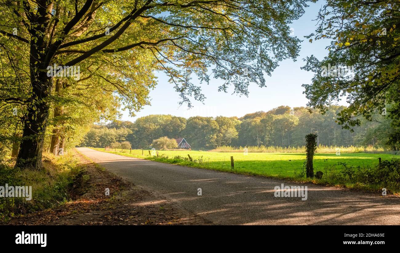 Diese asphaltierte Straße führt durch grüne Felder, dichte Wälder und entlang Bauernhöfe am Tankenberg (bei Oldenzaal) Stockfoto
