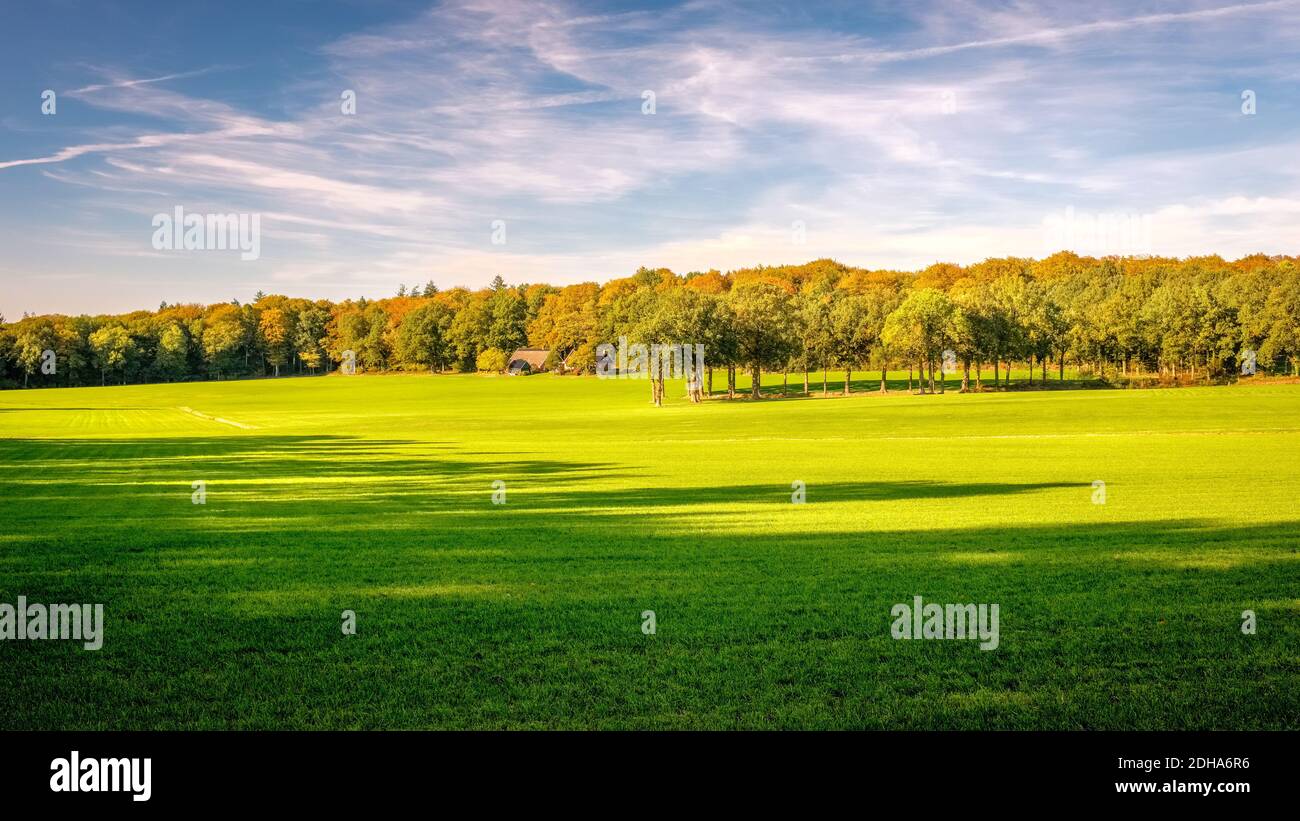 Blick auf grüne Felder, Bauernhöfe und dichte Wälder am Tankenberg (in der Nähe der Stadt Oldenzaal) an einem sonnigen oktobertag, aber die Sonne untergeht Stockfoto