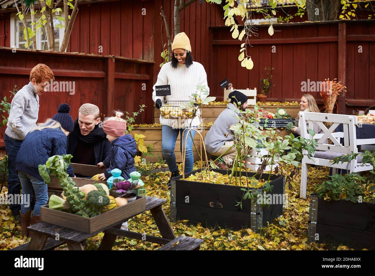 Männlich und weiblich sammeln frische Produkte, während reifen Mann reden Den Kindern im Hof Stockfoto