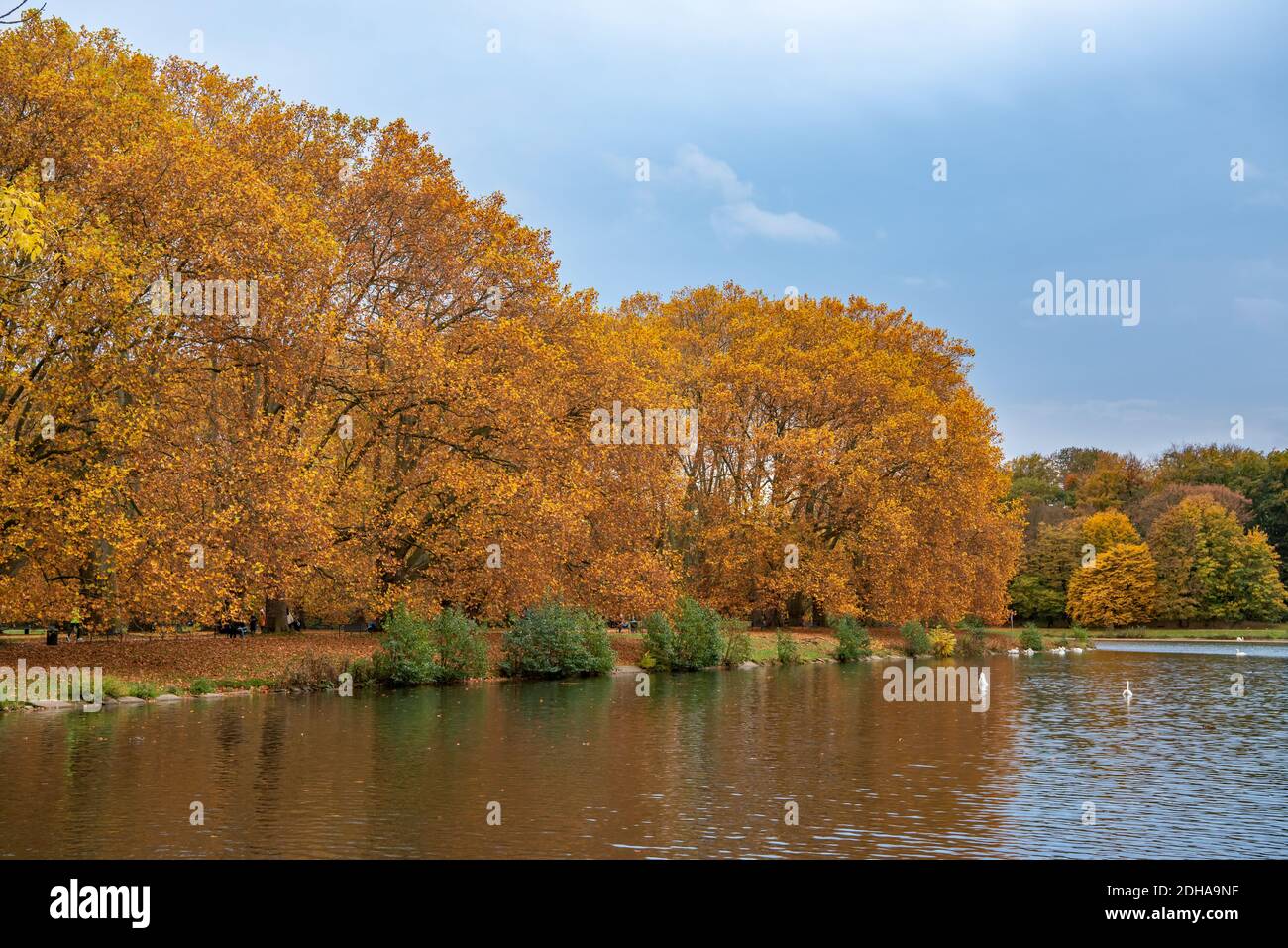 Herbst Farben Stockfoto