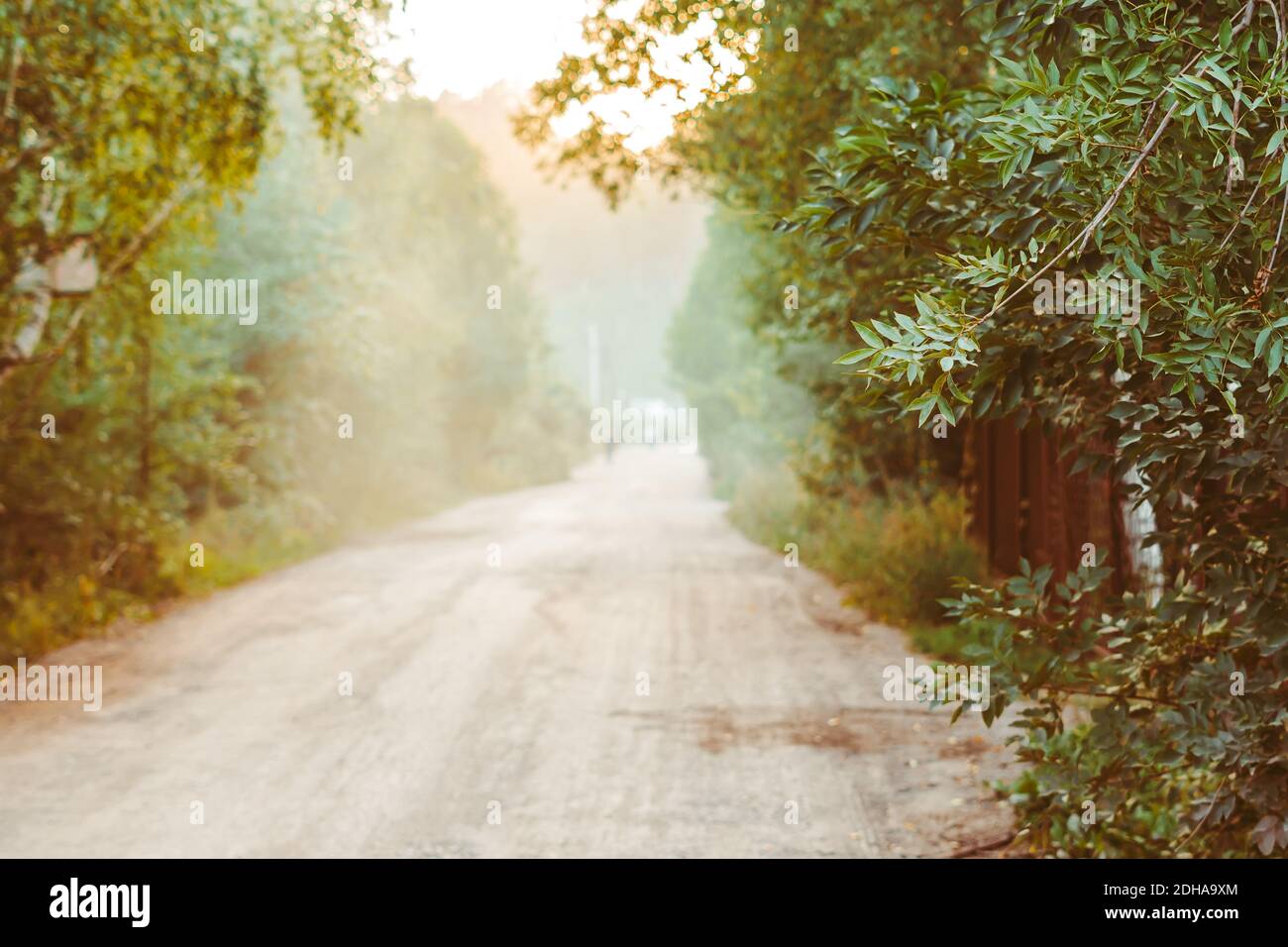 Ein Feldweg führt durch Bodmin Moor in Cornwall Stockfoto