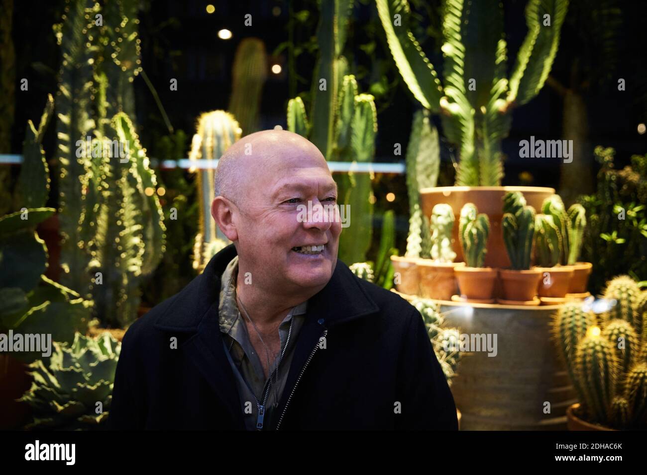 Lächelnder älterer Mann, der nachts gegen einen saftigen Pflanzenladen sitzt Stockfoto
