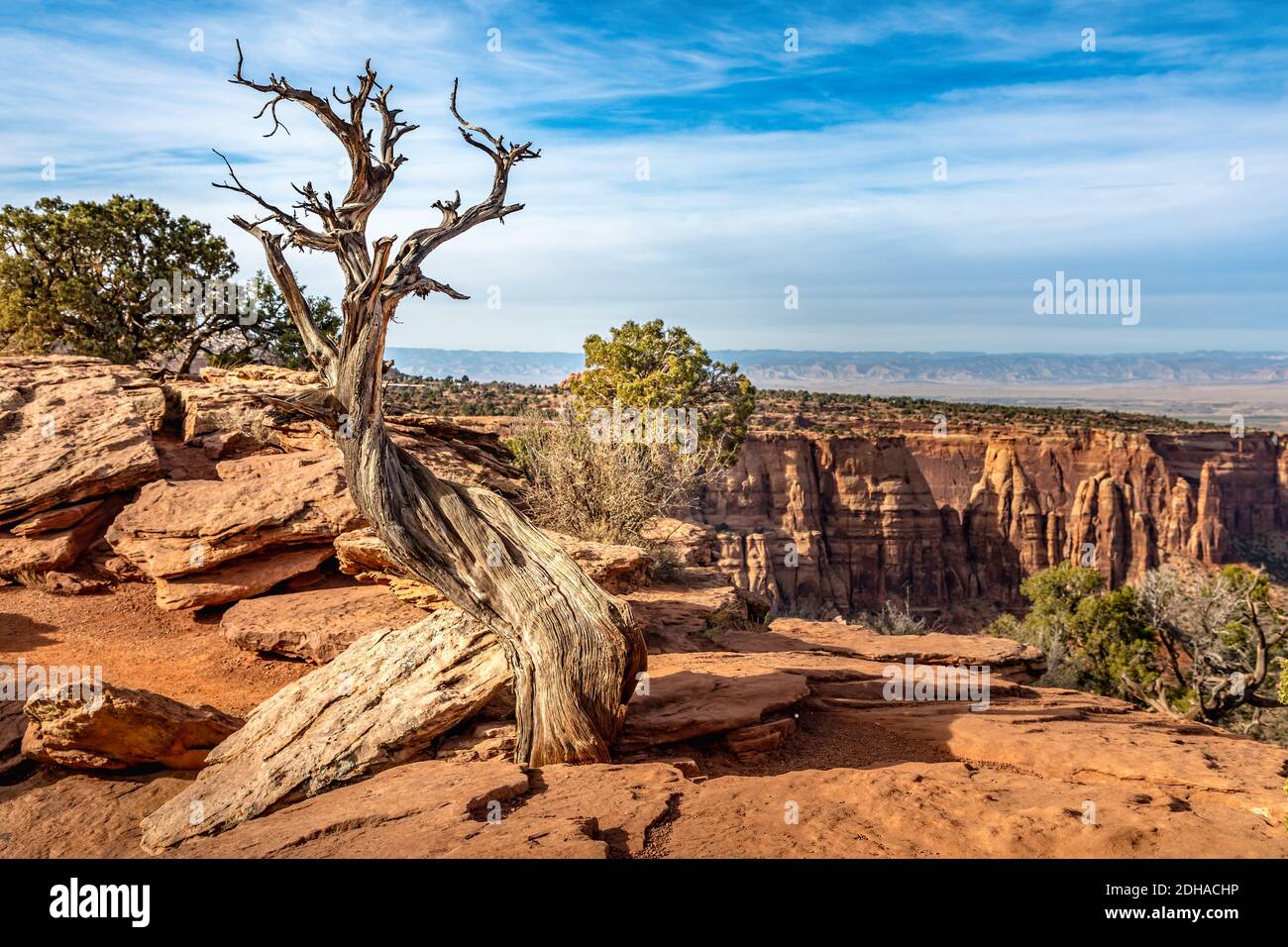 Landschaftlich schöner Blick vom Grand View auf dem Rimrock Drive, Colorado Stockfoto