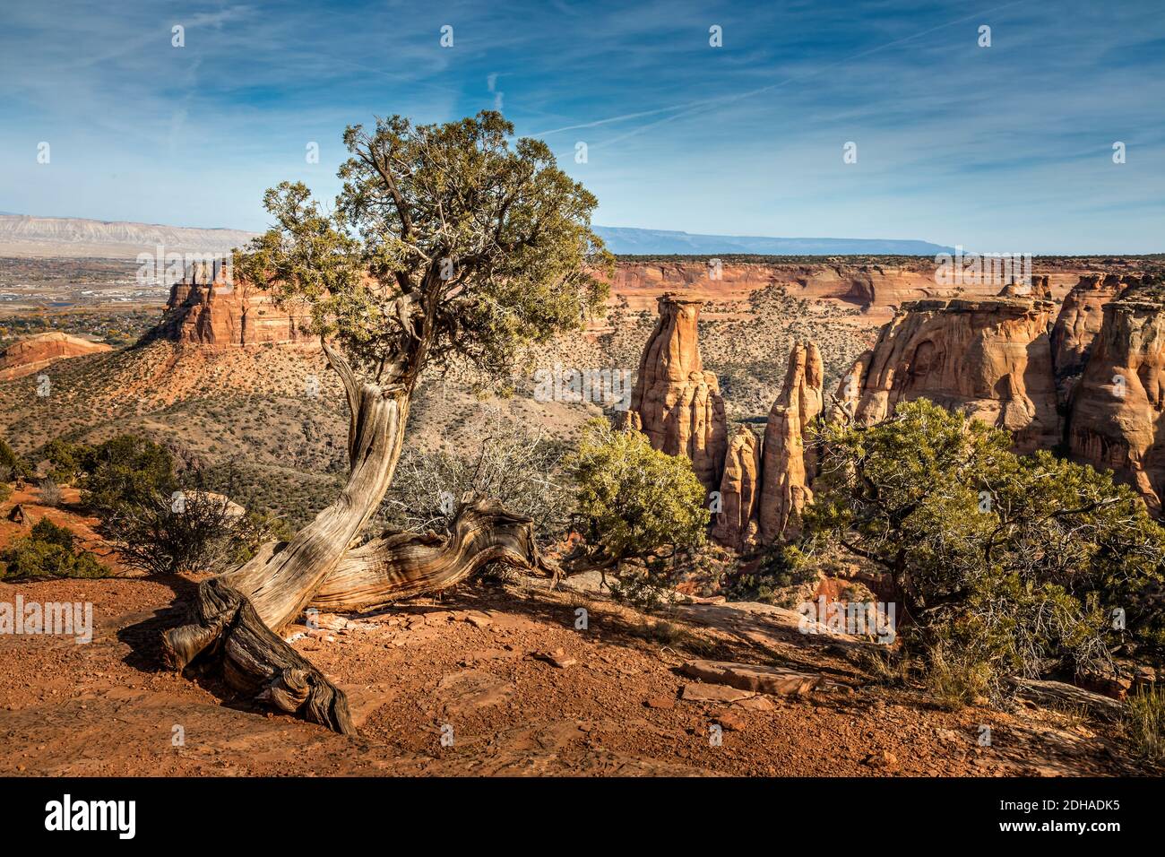 Landschaftlich schöner Blick vom Grand View auf dem Rimrock Drive, Colorado Stockfoto