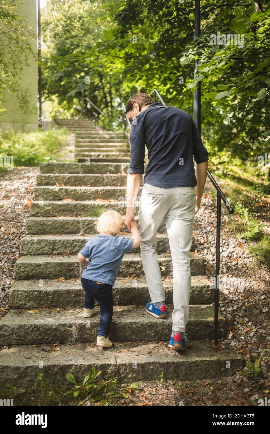 In voller Länge Rückansicht von Vater und Sohn halten Hände Beim Aufsteigen auf Stufen im Park Stockfoto
